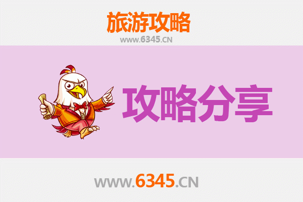 玉树曲麻莱至湄洲岛旅游攻略：跟团还是自由行深度解析